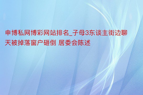 申博私网博彩网站排名_子母3东谈主街边聊天被掉落窗户砸倒 居委会陈述
