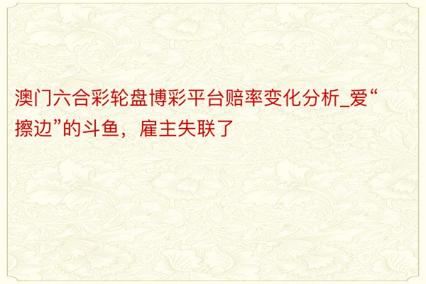 澳门六合彩轮盘博彩平台赔率变化分析_爱“擦边”的斗鱼，雇主失联了