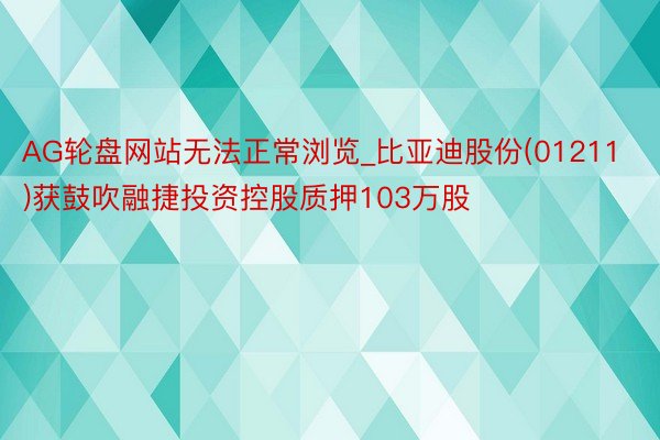 AG轮盘网站无法正常浏览_比亚迪股份(01211)获鼓吹融捷投资控股质押103万股
